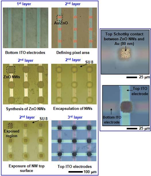 Figure S2: Left: Optical micrographs illustrating 3D vertical piezotronic transistors array on a PET substrate at each major step