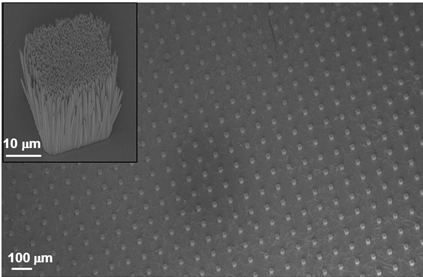 Materials characterization of the SGVPT array Figure S3: Top: 30 o tilted SEM image of 3D SGVPT