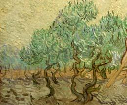 Andre Derain Vincent van Gogh, The Olive Orchard (detail), 1889, - Van Gogh used strong, twisted lines and soft gradations for his ancient