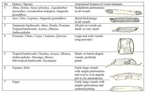 Table 4. Identification of papermaking hardwoods (Ilvessalo-Pfäffli 1995) Table 5.
