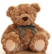 These bears are absolutely adorable. They are a very hot trend, and are selling like hotcakes. They are awesome gifts to give, and wonderful presents to receive.