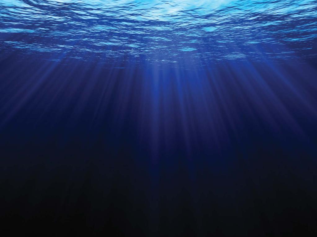 Predictive Subsea Integrity Management: