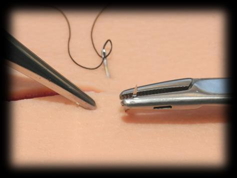 Clinical Skills: 7 8 9 Pierce the silicon pad (skin) approximately 5mm away from the edge with the needle at a
