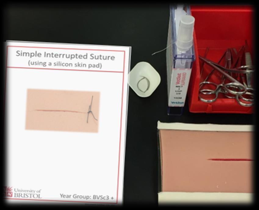 Resetting the station: 1. Remove all the sutures from the silicon pad using the stitch removal scissors 2. Put waste suture material and any packaging in the bin 3.