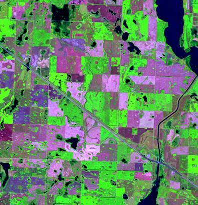 Figure 1. AWiFS (left) and (right) imagery examples from North Dakota (red, green, blue colors equal reflectance bands 5 (SWIR), 4(NIR), and 3(red), respectively).
