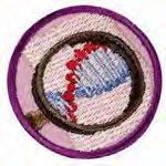 Cadette 6-8th Special Agent $30 Tech fun patch: Museum Admission 4