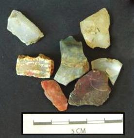 Vaidya and Mohanty 2015: 400 409 Figure 5: Bead roughouts Figure 6: Carnelian bead roughout Figure 7: Chipped Surfaces of Stone debitage Discussions and Conclusions This was the first site where bead