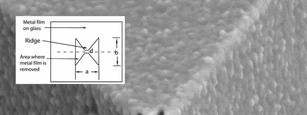 Fig. 1. SEM image of a bowtie aperture on AFM probe with inset of idealized geometry.