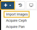 Importing Images, Acquiring Ceph and Acquiring Pan Once the image categories, image series types and image types are set up in Silverlight, you