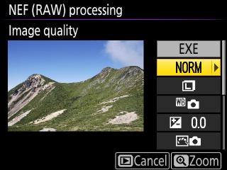6 Choose settings for the JPEG copies. Adjust the settings listed below.
