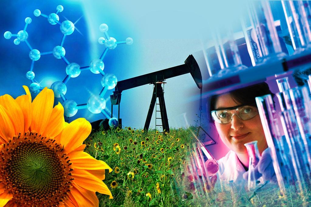 Sustainable Chemistry Global Focus on Environment