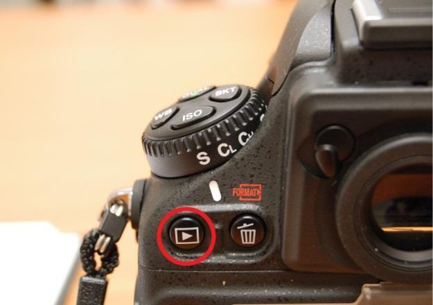 Press the Menu button, then use the Multi-selector button (circled below-right) to navigate to Playback Menu Playback display options. Figure 5. Nikon D800/D810: Playback Menu display options. 2.