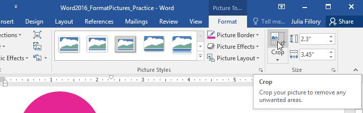 Introduction MS Word Training Formatting Pictures There are many ways to format pictures in Word. For instance, you can change the size or shape of an image to better suit your document.