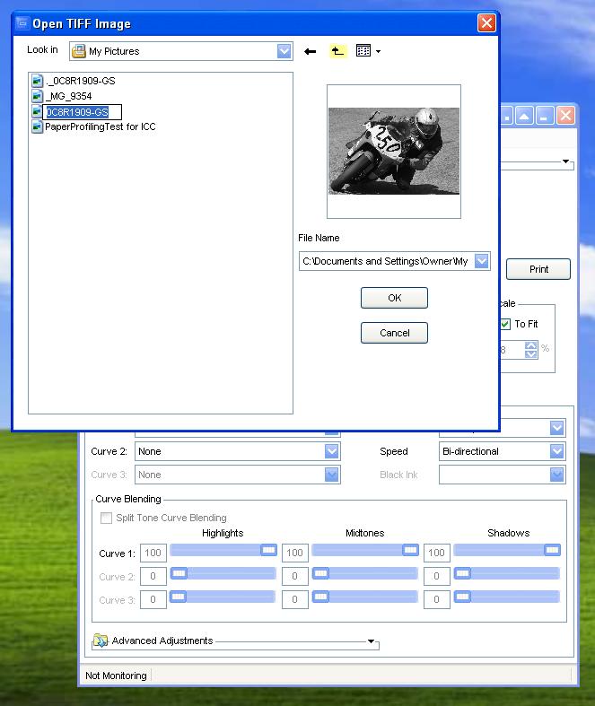 Illustration 8. Back to Selecting an image to print! You are now ready to open an image. Select any TIFF Grayscale file.