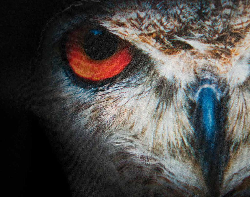 This owl image was printed on a black t-shirt using the G3 T-shirt Printer.
