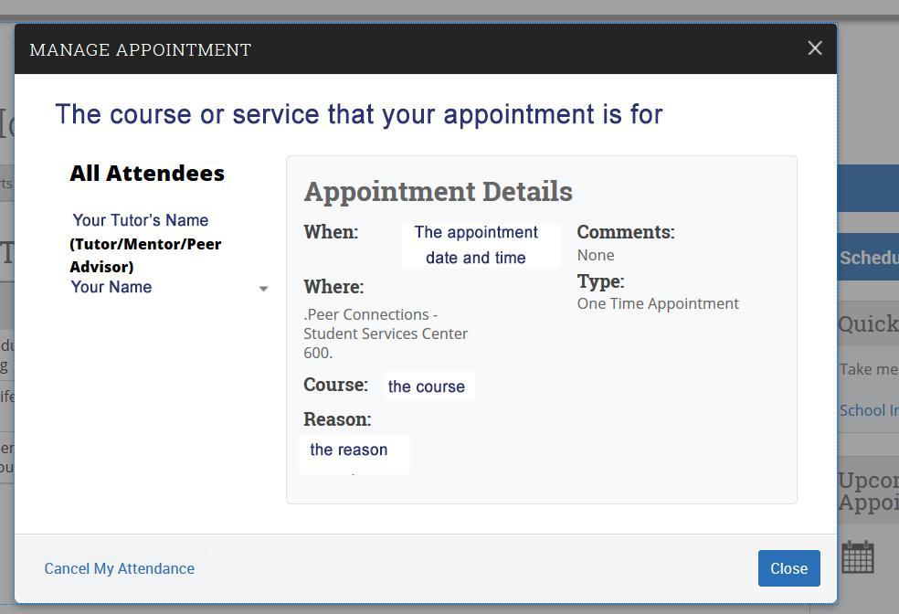 This is what the appointment detail window looks like.