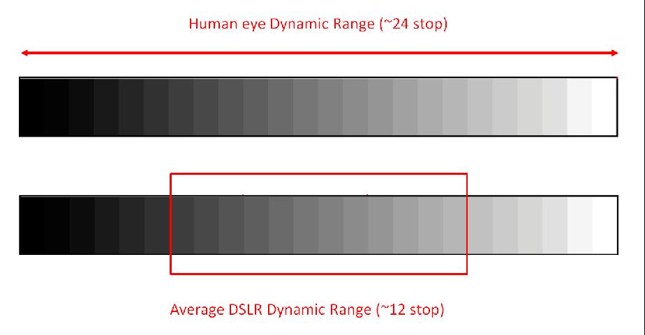 DYNAMIC RANGE Dynamic range is the difference between the darkest and brightest parts of the scene