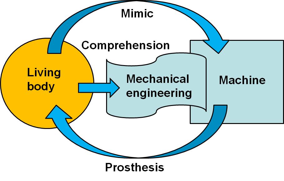 Chapter 1: Organism and Machine There are variety of interactions between organism and machine. Mechanical engineering makes a bridge between organism and machine.