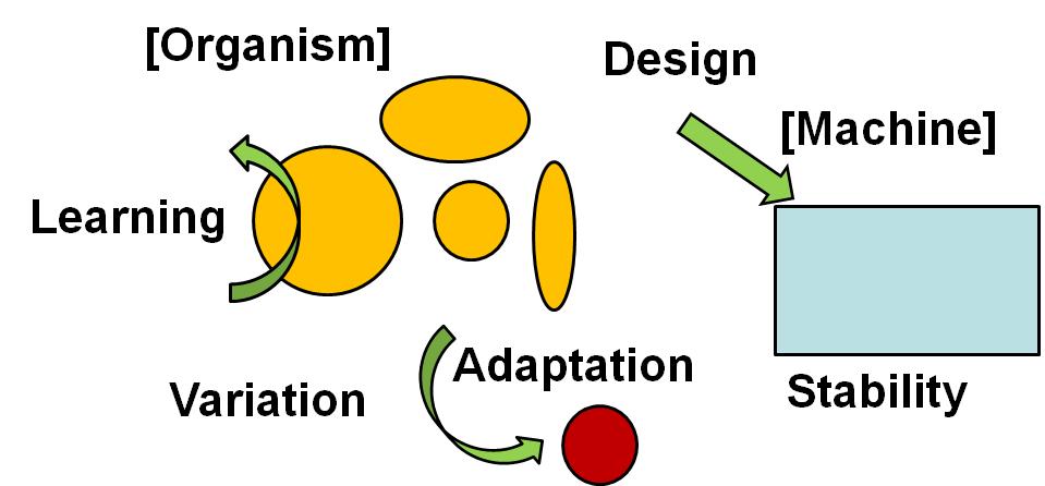 The organism, on the other hand, keeps variation, and adapts to the environment (Fig. 1.5). Fig. 1.5: Difference between organism and machine.