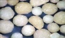 NATURAL SILICA SAND RCS ARTIFICIAL SAND RCS Picture Sand form