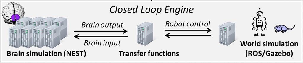 Coupling HPC Systems and External Facilities Closed-loop brain and robot model based