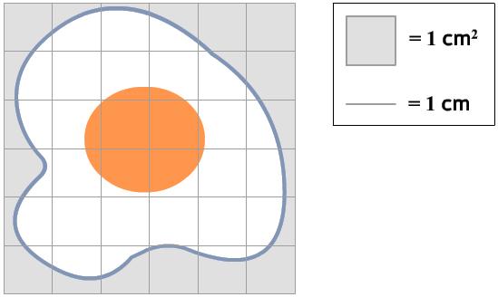 Estimate the dimensions of the larger rectangle in inches. Estimate to the nearest whole number.