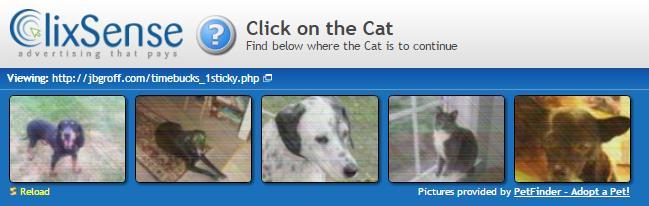Once you click on an Ad you will see five pictures on the top asking you to find the Cat. All you need to do is to click the Cat and let the timer run.