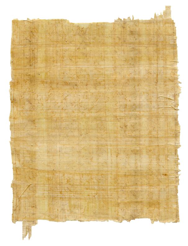 Papyrus Used in Ancient Egypt,