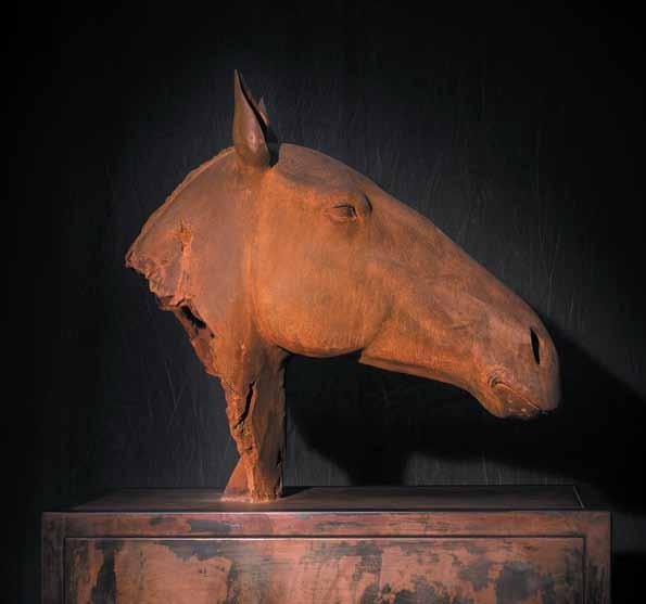 Equine Remnant - Cast iron - 80 x