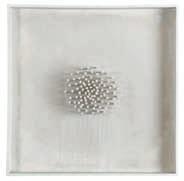 Organic Structure 1960 Nails on paperboard in wooden case, white 40