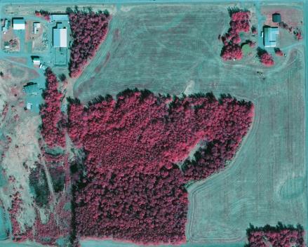 What is orthoimagery? Typically, aerial imagery used for mapping consists of a rectified aerial image or orthophoto (aka orthoimage).