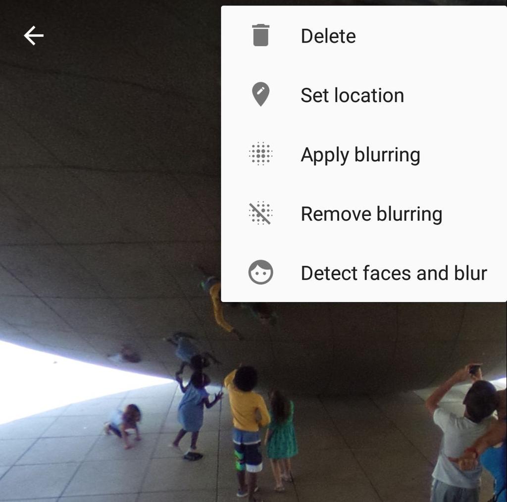 (3) Faces can be automatically detected and blurring rectangles will automatically appear if this feature is turned on in the SV App Settings (see 1.2). Fig 3.