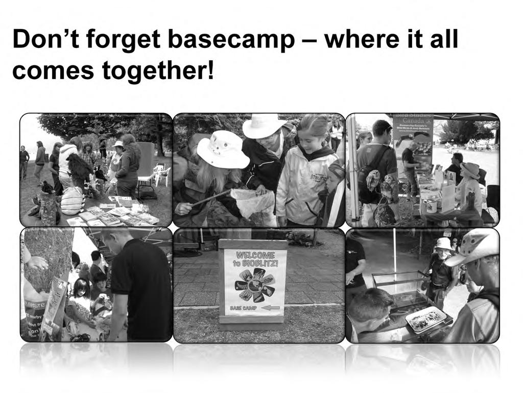 Basecamp is really where much of the fun and true engagement happens.