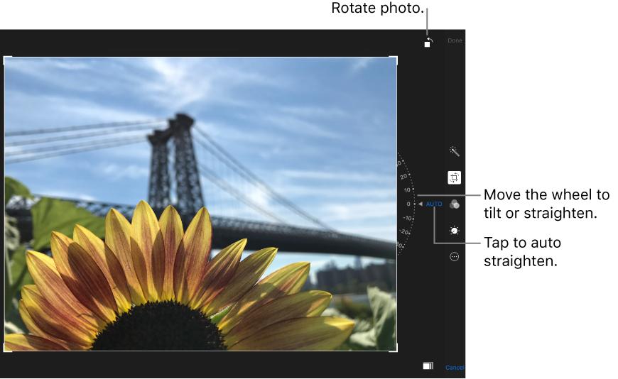 With photo filters, you can apply different effects to modify the colors and tones of the photo. Tap to make adjustments to light, color, and black and white.