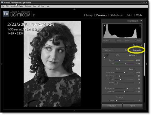 Adobe Lightroom Lightroom by Adobe is a digital workflow application created for professional photographers (or serious amateurs).