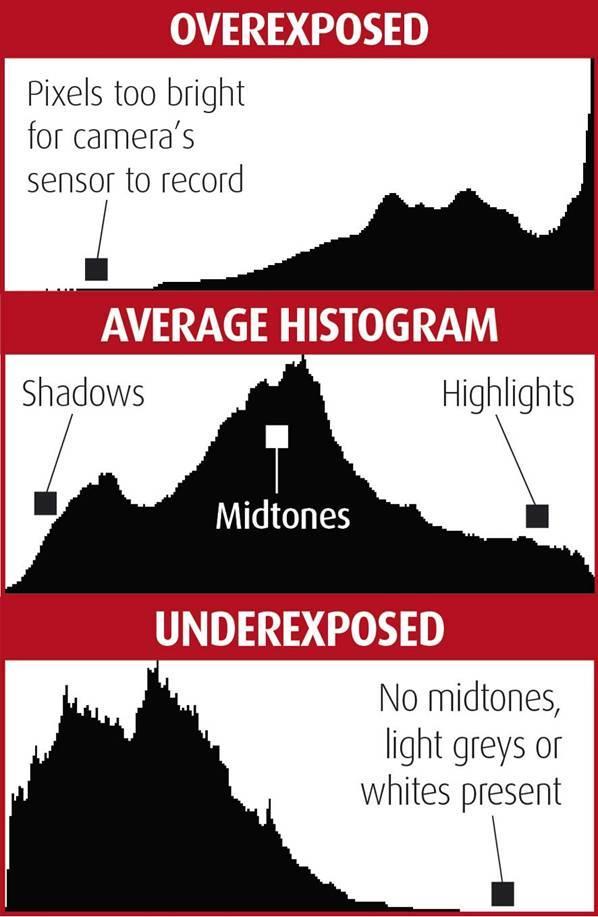 When you review an image that you have taken, you can push the Info button & after one or two presses you will see the histogram graph.