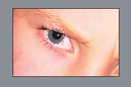 0 is the inclusion of a Red Eye Removal tool designed to correct the appearance of red eye in photos taken with flash.