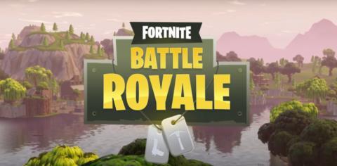 Parents Guide to Fortnite The craze for Fortnite, especially its multiplayer standalone mode Fortnite Battle Royale, has exploded recently especially amongst children.