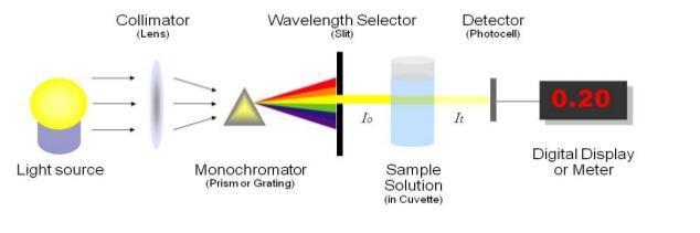 Components of A Spectrophotometer Sources 1- Wavelength selectors (filters, monochromators) 2- Sample containers 3
