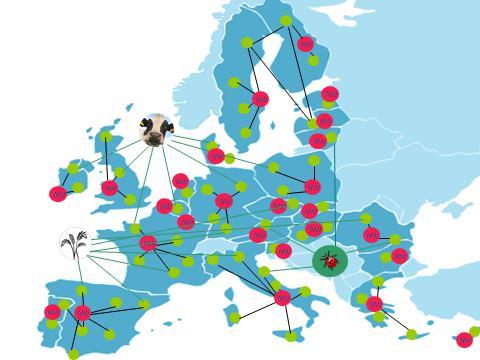 Source: DG Agri Horizon 2020 therefore foresees the opportunity to fund operational groups and/or individual actors to organise themselves in thematic networks.