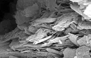 Fillers as a Contaminant Clay, from Hubbe (left).