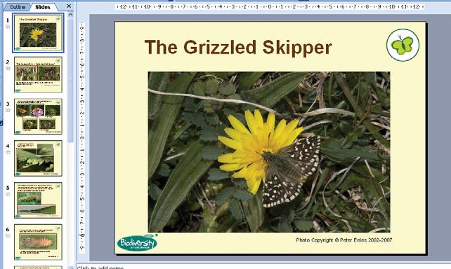 Grizzled Skipper This activity focuses on the life cycle of a butterfly found on