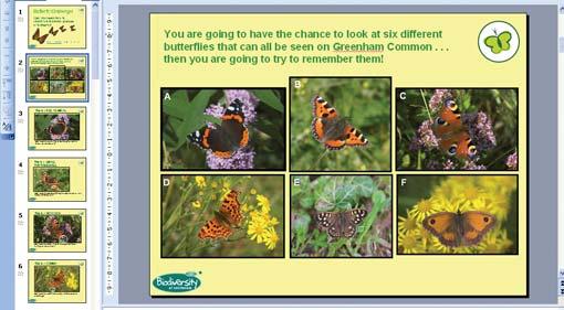 A PowerPoint Presentation, to use in the classroom or on individual computers, takes