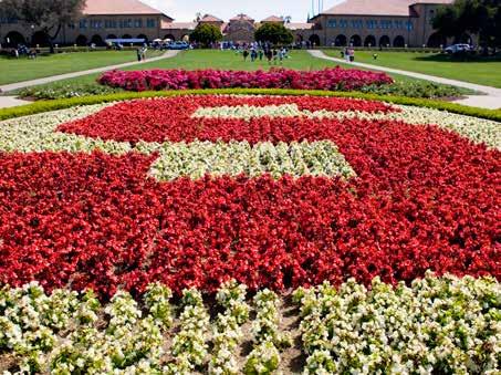 Remember Stanford o Please send me information about: o Making a bequest to Stanford. o Making a life income gift (e.g., charitable remainder unitrust, charitable gift annuity) to Stanford.