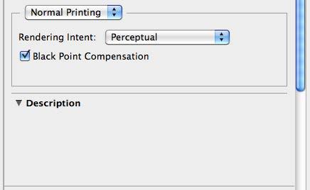 turn on BLACK POINT COMPENSATION POSITION and SIZE dialog box The size of the print should have already been set and the print optimized in Photoshop before opening these dialog boxes, as described
