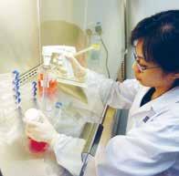 Researcher preparing cell culture medium.