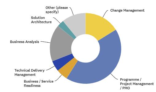 Project Management or PMO, the next largest Capability areas were Business Analysis and Change Management, representing 17%