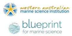 part of the WAMSI Blueprint for Marine Science. More than 100 individuals and organizations consulted.