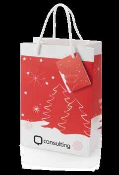 cm Christmas gift bag Paper.