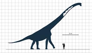 2018 EM3 Week 9 Investigation 1. In the scale drawing above, what is the dimension of each square? 2. What is the height of the man? 3. What is the height of the sauropod? 4.